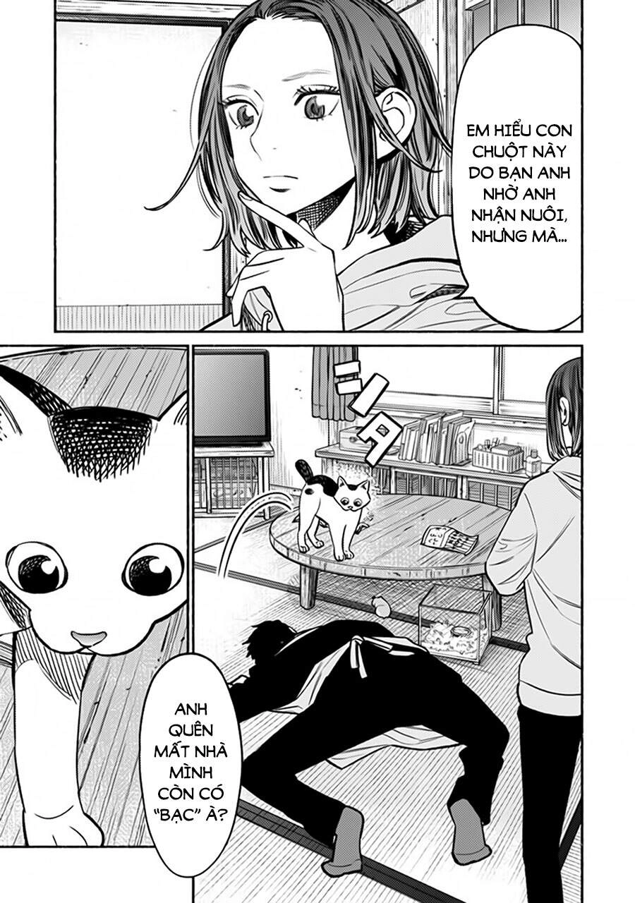 Ông Chồng Yakuza Nội Trợ Chapter 67 - 4