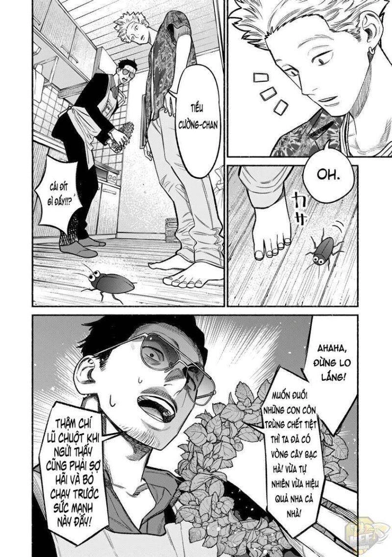 Ông Chồng Yakuza Nội Trợ Chapter 73 - 13