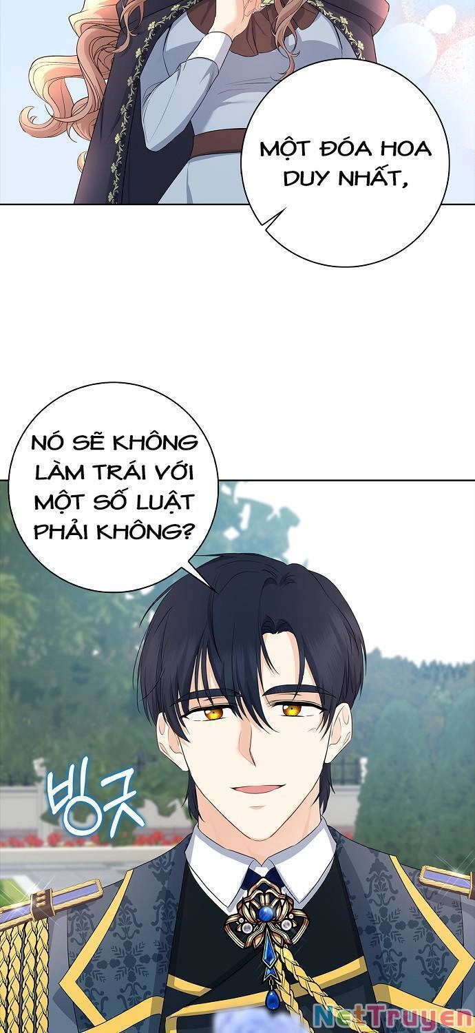 Vị Bạo Chúa Của Tôi Sao Lại Hóa Trẻ Rồi Chapter 14 - 41