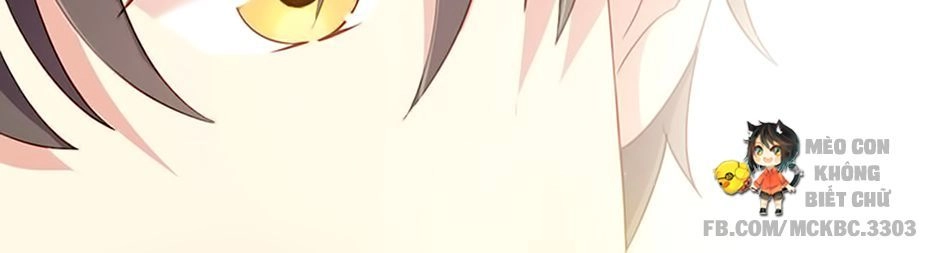 Nhịp Tim Cảnh Báo Chapter 25 - 35