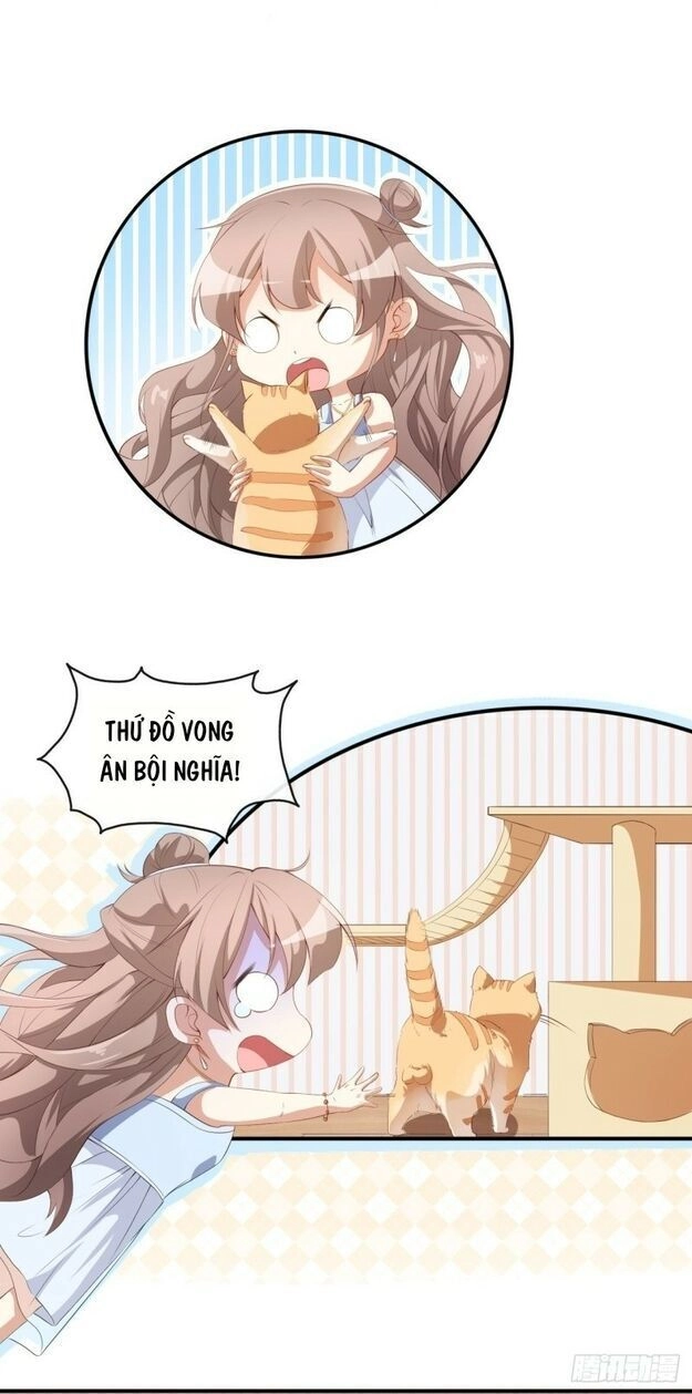 Mỹ Nhân Tâm Động Chapter 37 - 17