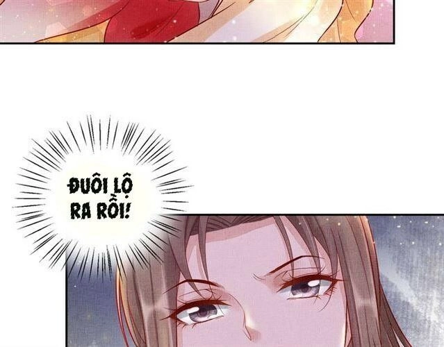 Thịnh Sủng Y Phi Chi Dao Quan Truyện Chapter 32 - 48