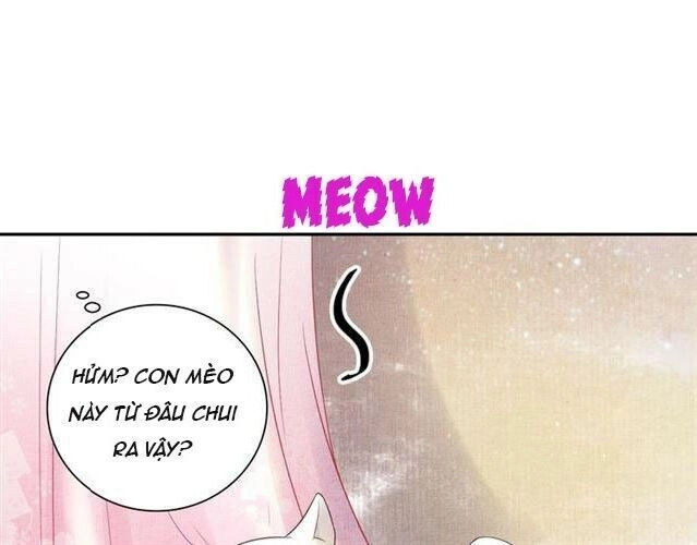 Thịnh Sủng Y Phi Chi Dao Quan Truyện Chapter 40 - 58