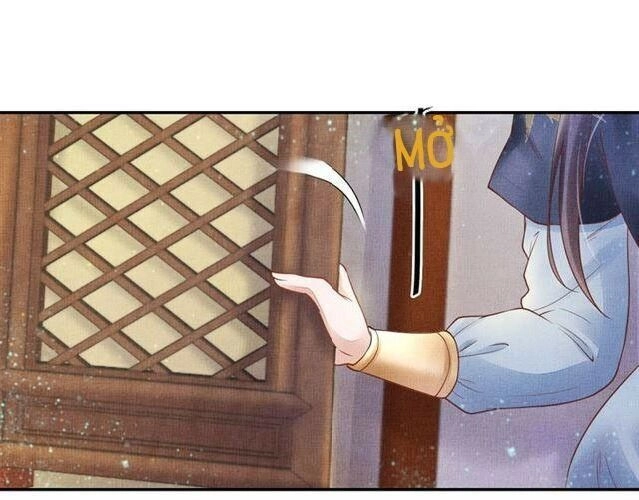 Thịnh Sủng Y Phi Chi Dao Quan Truyện Chapter 40 - 61