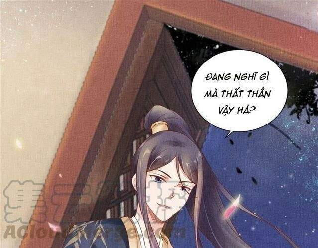 Thịnh Sủng Y Phi Chi Dao Quan Truyện Chapter 40 - 65