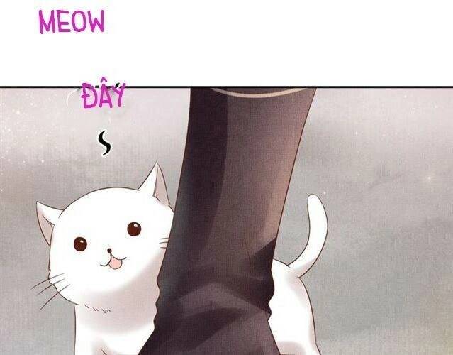 Thịnh Sủng Y Phi Chi Dao Quan Truyện Chapter 41 - 10