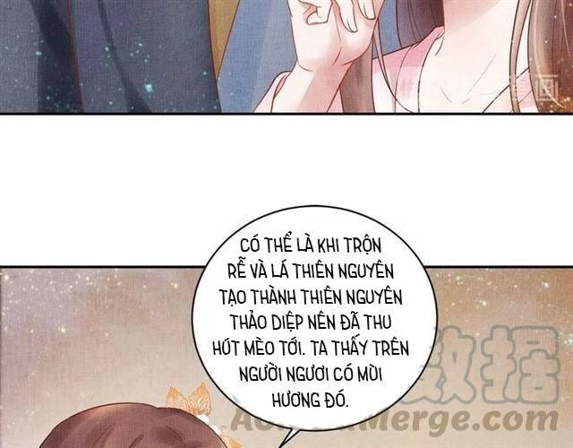 Thịnh Sủng Y Phi Chi Dao Quan Truyện Chapter 41 - 19