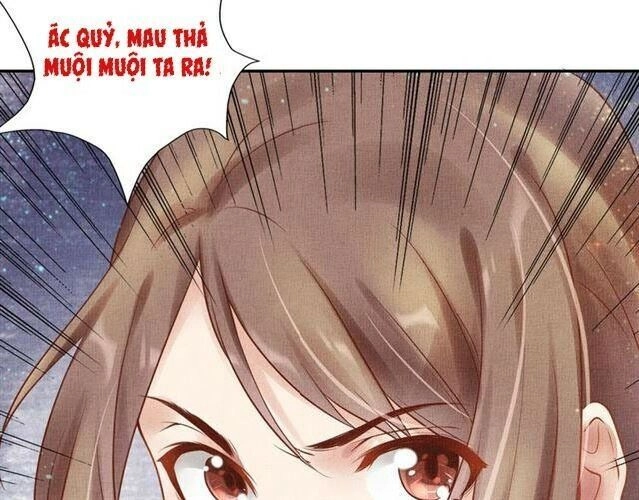 Thịnh Sủng Y Phi Chi Dao Quan Truyện Chapter 42 - 62