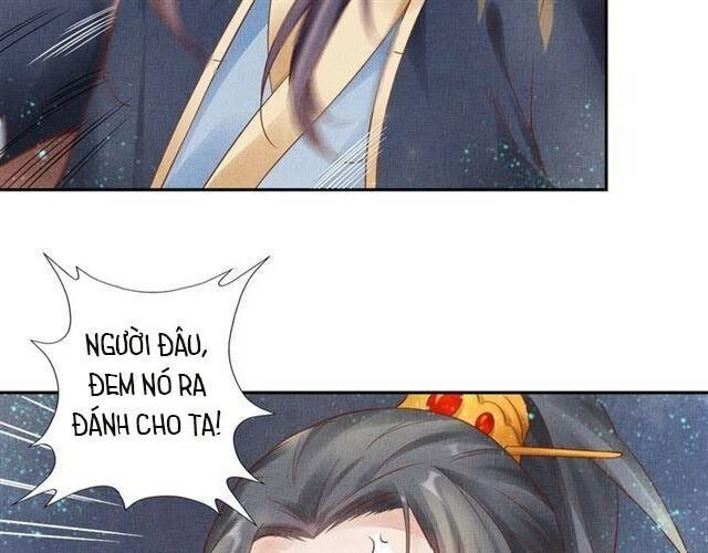 Thịnh Sủng Y Phi Chi Dao Quan Truyện Chapter 45 - 39