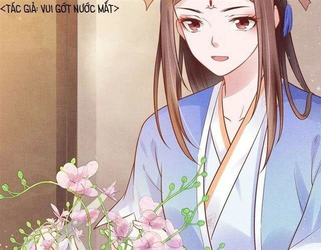 Thịnh Sủng Y Phi Chi Dao Quan Truyện Chapter 46 - 45