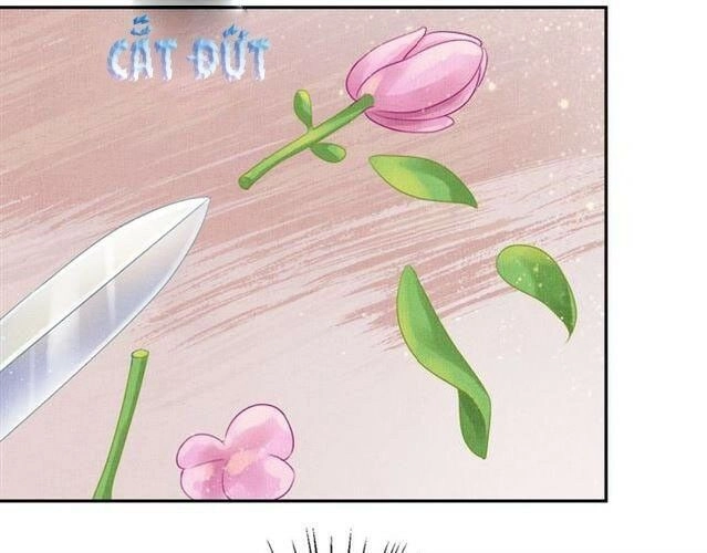 Thịnh Sủng Y Phi Chi Dao Quan Truyện Chapter 46 - 47