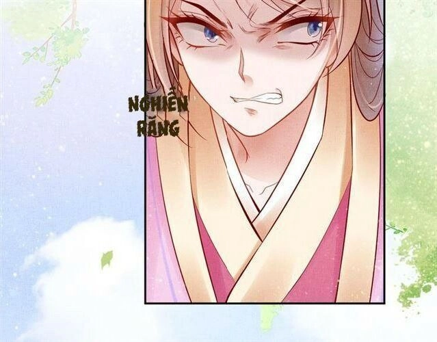 Thịnh Sủng Y Phi Chi Dao Quan Truyện Chapter 46 - 71