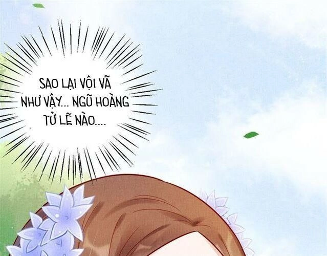 Thịnh Sủng Y Phi Chi Dao Quan Truyện Chapter 46 - 72