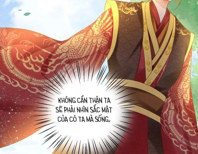 Thịnh Sủng Y Phi Chi Dao Quan Truyện Chapter 47 - 58