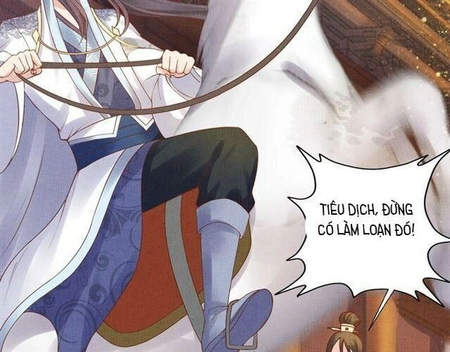 Thịnh Sủng Y Phi Chi Dao Quan Truyện Chapter 50 - 48