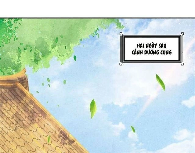 Thịnh Sủng Y Phi Chi Dao Quan Truyện Chapter 51 - 3