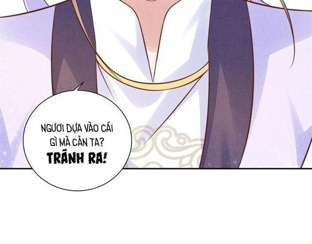 Thịnh Sủng Y Phi Chi Dao Quan Truyện Chapter 54 - 20