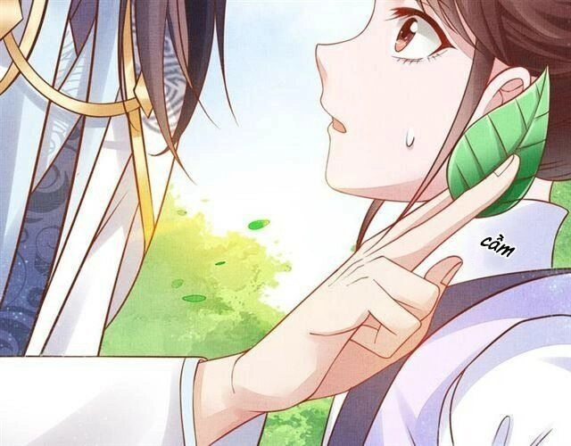 Thịnh Sủng Y Phi Chi Dao Quan Truyện Chapter 57 - 46