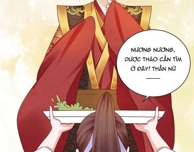 Thịnh Sủng Y Phi Chi Dao Quan Truyện Chapter 58 - 47