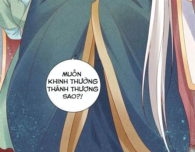 Thịnh Sủng Y Phi Chi Dao Quan Truyện Chapter 61 - 32