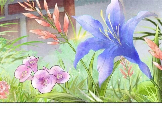 Thịnh Sủng Y Phi Chi Dao Quan Truyện Chapter 62 - 42