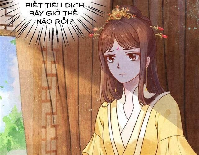 Thịnh Sủng Y Phi Chi Dao Quan Truyện Chapter 63 - 6