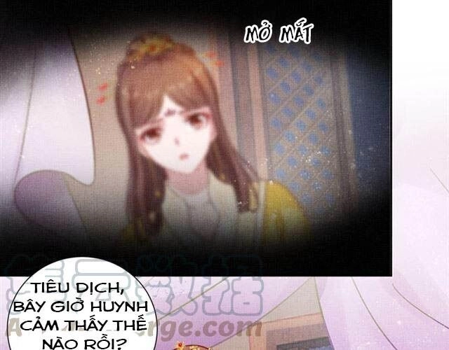 Thịnh Sủng Y Phi Chi Dao Quan Truyện Chapter 63 - 48