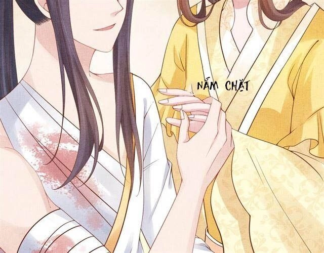 Thịnh Sủng Y Phi Chi Dao Quan Truyện Chapter 64 - 4