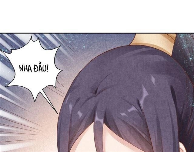 Thịnh Sủng Y Phi Chi Dao Quan Truyện Chapter 65 - 31