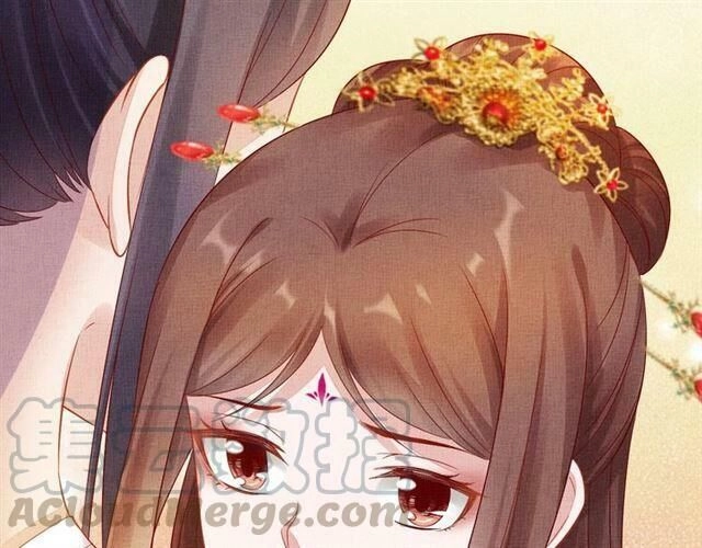 Thịnh Sủng Y Phi Chi Dao Quan Truyện Chapter 65 - 77