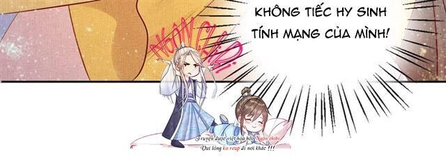 Thịnh Sủng Y Phi Chi Dao Quan Truyện Chapter 65 - 79