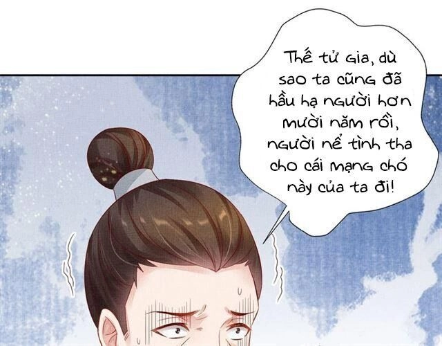 Thịnh Sủng Y Phi Chi Dao Quan Truyện Chapter 65 - 93