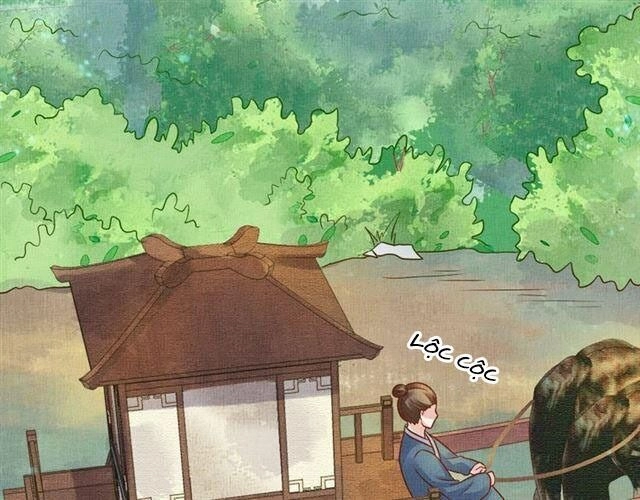 Thịnh Sủng Y Phi Chi Dao Quan Truyện Chapter 67 - 15