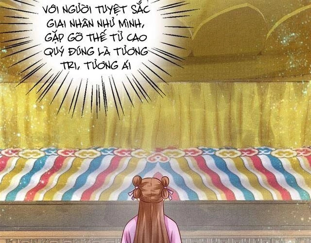 Thịnh Sủng Y Phi Chi Dao Quan Truyện Chapter 67 - 41