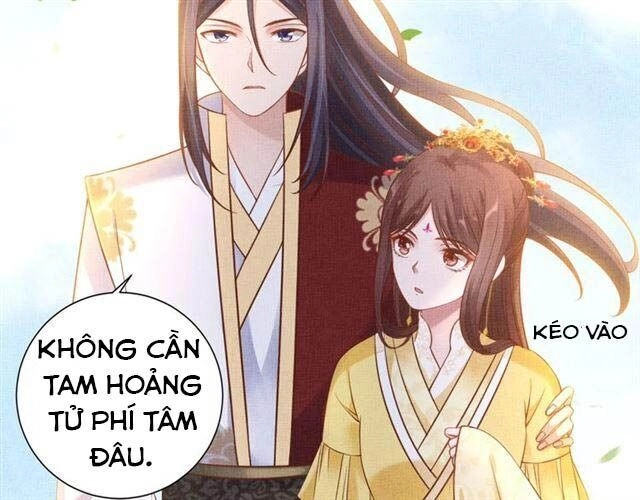 Thịnh Sủng Y Phi Chi Dao Quan Truyện Chapter 69 - 22