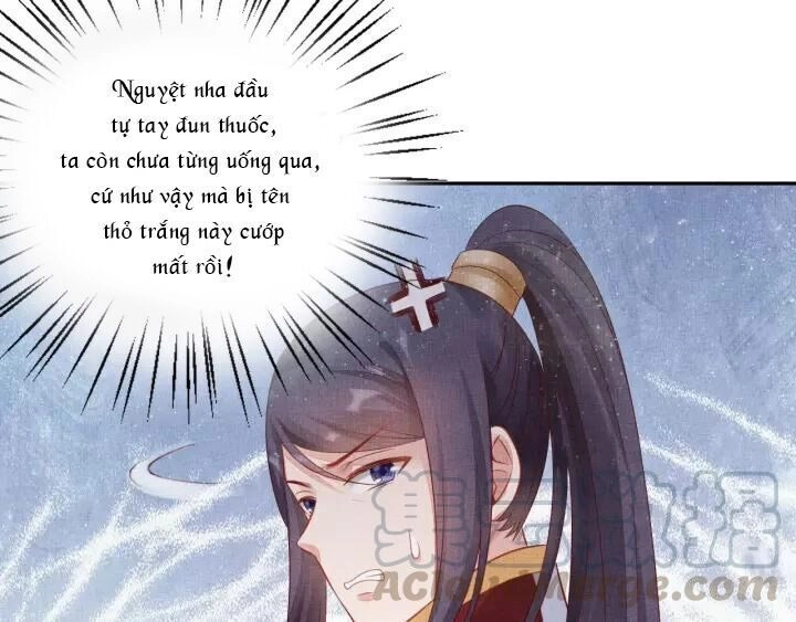 Thịnh Sủng Y Phi Chi Dao Quan Truyện Chapter 79 - 27