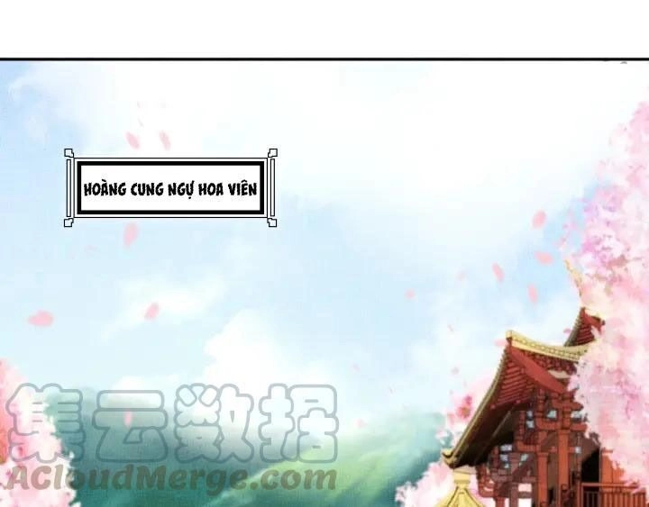 Thịnh Sủng Y Phi Chi Dao Quan Truyện Chapter 94 - 68