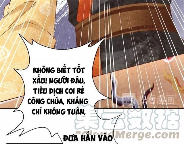 Thịnh Sủng Y Phi Chi Dao Quan Truyện Chapter 99 - 28