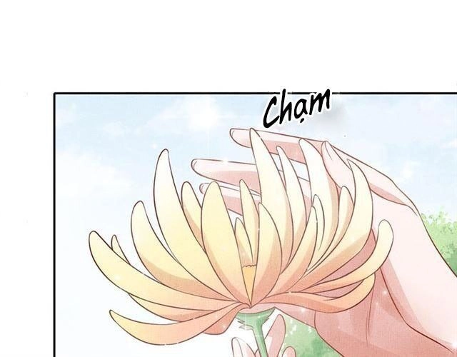 Thịnh Sủng Y Phi Chi Dao Quan Truyện Chapter 104 - 37