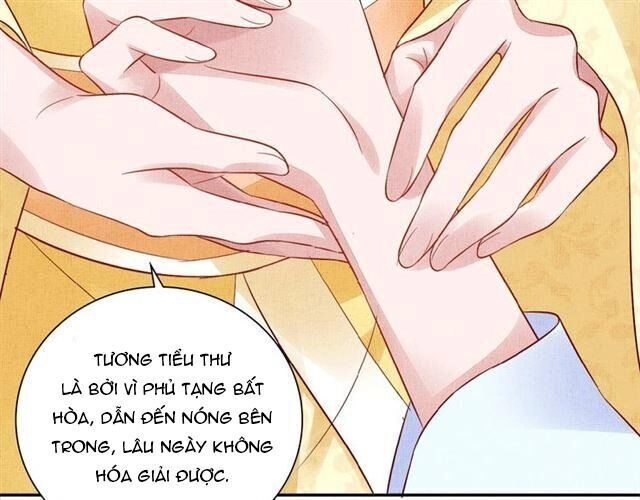 Thịnh Sủng Y Phi Chi Dao Quan Truyện Chapter 106 - 21