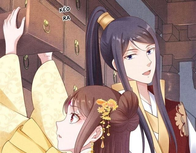 Thịnh Sủng Y Phi Chi Dao Quan Truyện Chapter 108 - 5