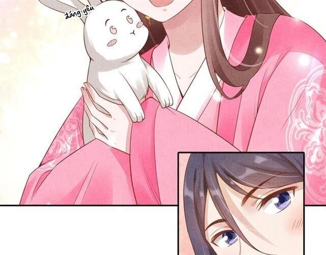 Thịnh Sủng Y Phi Chi Dao Quan Truyện Chapter 113 - 42