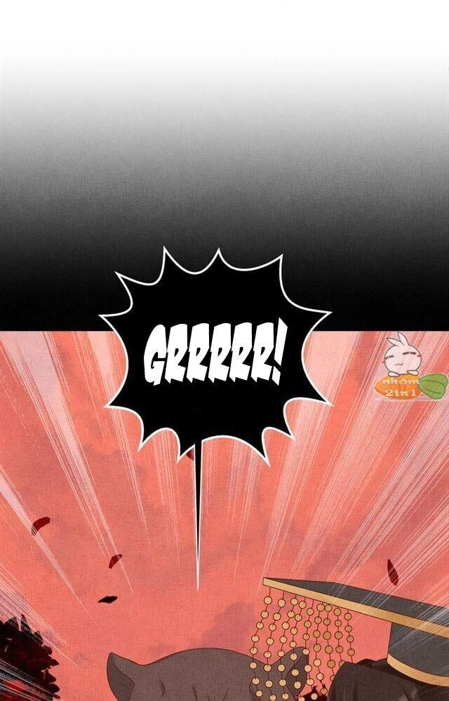 Thịnh Sủng Y Phi Chi Dao Quan Truyện Chapter 114 - 2