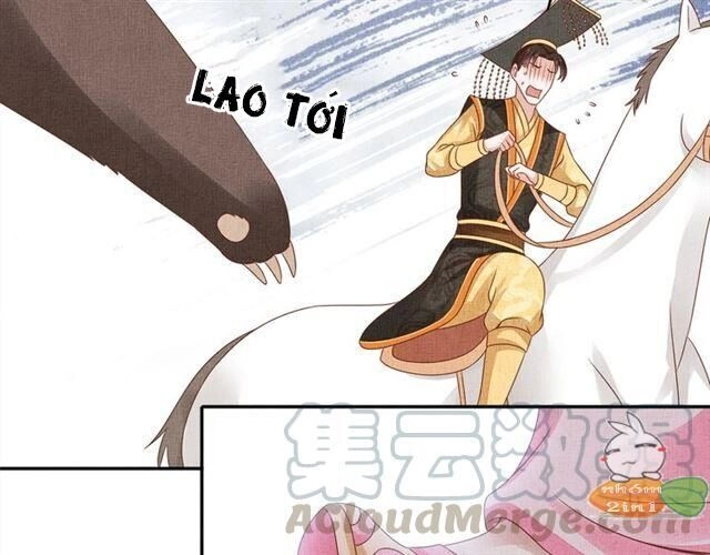 Thịnh Sủng Y Phi Chi Dao Quan Truyện Chapter 115 - 57