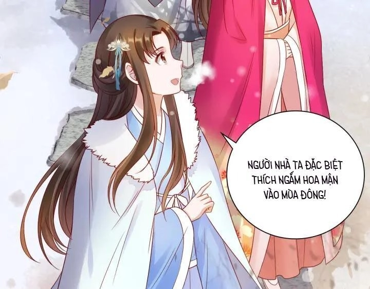 Thịnh Sủng Y Phi Chi Dao Quan Truyện Chapter 121 - 4