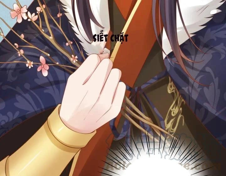 Thịnh Sủng Y Phi Chi Dao Quan Truyện Chapter 122 - 44