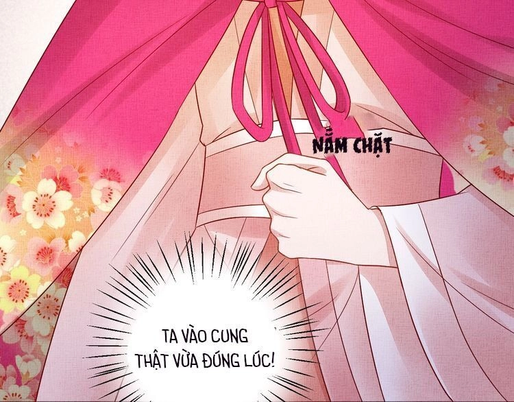 Thịnh Sủng Y Phi Chi Dao Quan Truyện Chapter 128 - 12