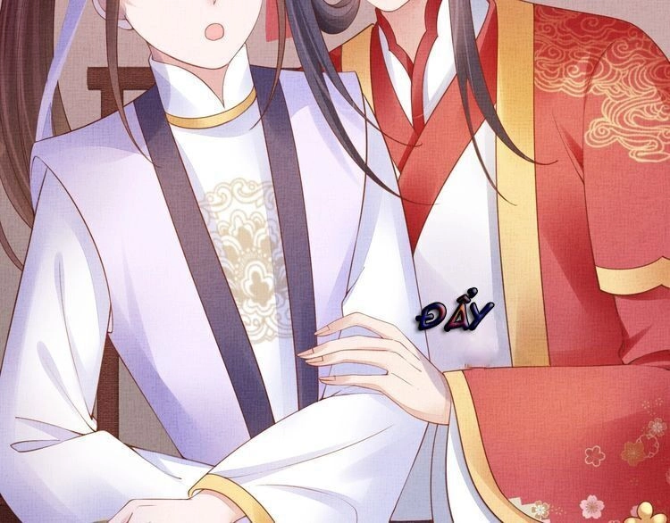 Thịnh Sủng Y Phi Chi Dao Quan Truyện Chapter 131 - 47