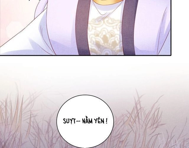 Thịnh Sủng Y Phi Chi Dao Quan Truyện Chapter 134 - 81