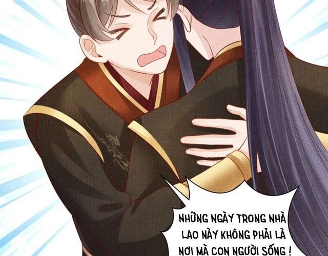 Thịnh Sủng Y Phi Chi Dao Quan Truyện Chapter 137 - 11